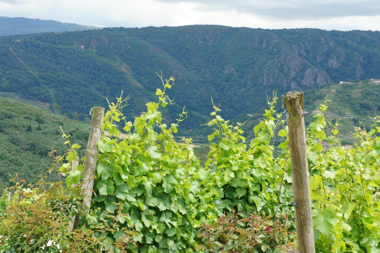 Apartamento A Forxa Casa Ferrador Ribeira Sacra